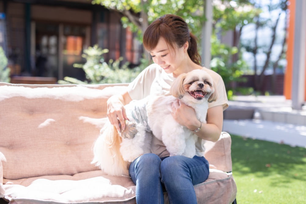 AdobeStock_384061999